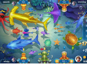 云开足球平台手机版